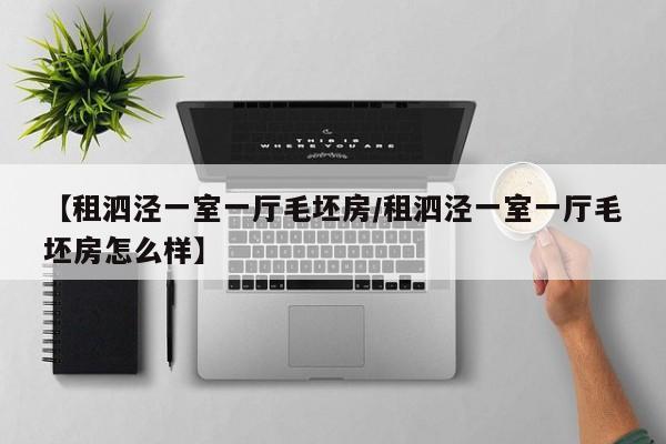 【租泗泾一室一厅毛坯房/租泗泾一室一厅毛坯房怎么样】