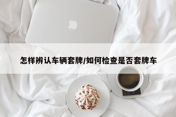 怎样辨认车辆套牌/如何检查是否套牌车