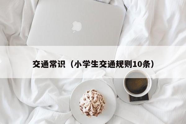 交通常识(小学生交通规则10条)