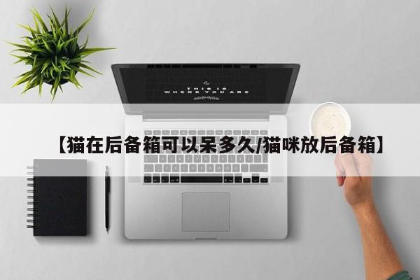 【猫在后备箱可以呆多久/猫咪放后备箱】