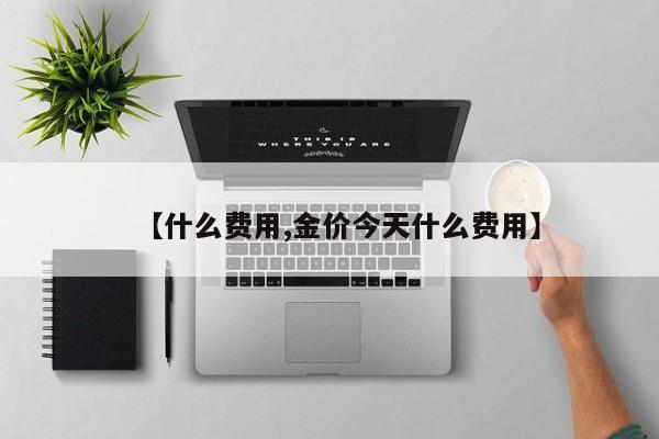 【什么费用,金价今天什么费用】
